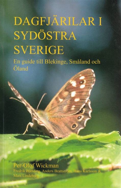  Auktioner Småland: En Guide till att Finna Skatter och Fynd 