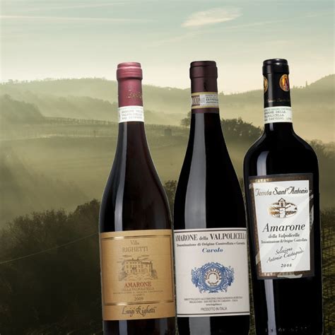  Bästa Barolos på Systembolaget - En guide till de bästa vinerna från Italiens mest hyllade vinregion 