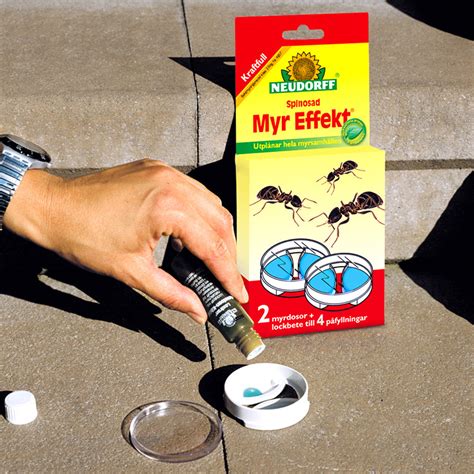  Bästa myrmedel: Din ultimata guide för att eliminera myror effektivt