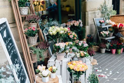  Blommor T Centralen: Your Guide to the Best Floral Delights in the Heart of Stockholm 