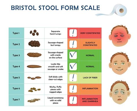  Bristol-avföringsskalan: En guide till din avföringshälsa 