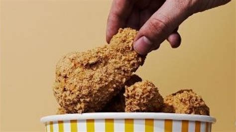  Bukan Es Krim Ayam Goreng: Mengungkap Tabir Kemunafikan Industri Makanan 