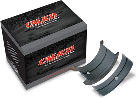  Calico Coated Bearings: A Journey of Resilience and Innovation 