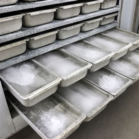  Descubra o Fabricador de Gelo 20 Barras: A Revolução no Resfriamento de Bebidas