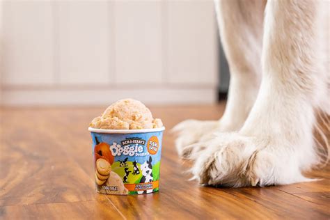  Doggy Ice Cream Near Me: A Treat Worth Barking About 