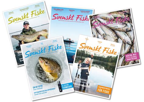 Fiske Gysinge: Ett svenskt fiskeparadis 