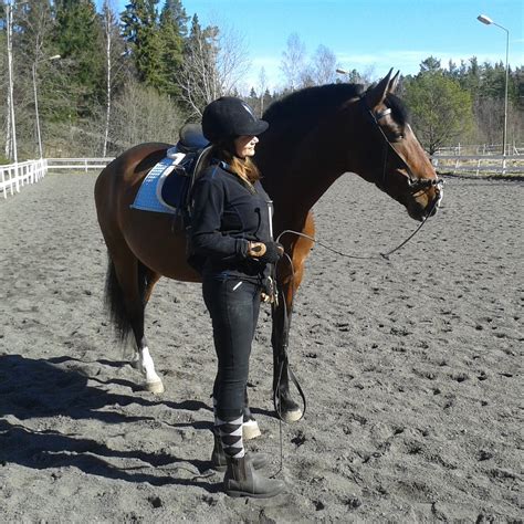  Hästar, ridning och personlig utveckling på Jönköping Ridskolecentrum 