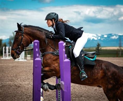  Hästar som hoppar: En komplett guide för inspirerade ryttare 