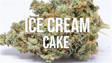  Ice Cream Cake Strain Review: A Sweet Treat for the Senses 