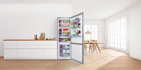  Kako izabrati savršeni francuski frižider s proizvođačem leda i dozatorom vode 
