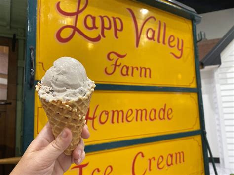  Lapp Valley Ice Cream: A Sweet Escape into Flavored Delights 