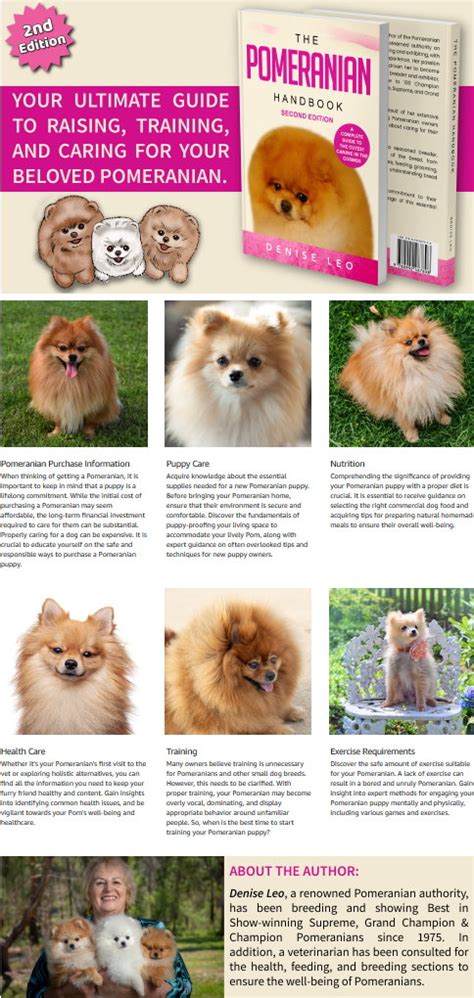  Pomeranian Klippt: A Comprehensive Guide to This Ancient Breed 