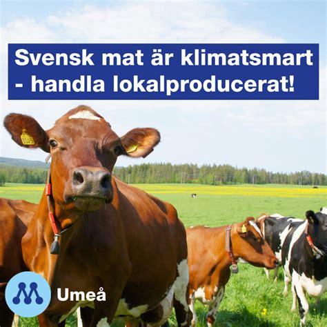  Reko-ringen Sundsvall: Handla lokalproducerat med hjärta och klimatsmart