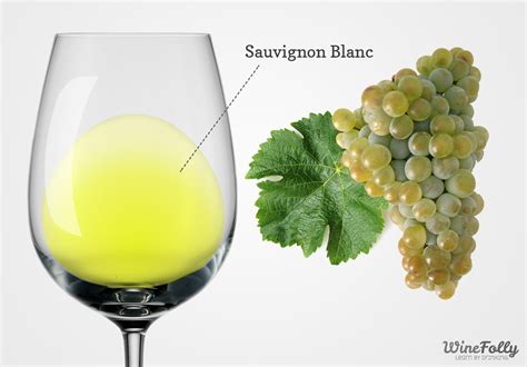  Sauvignon Blanc Box: A Guide to Discovering Your Perfect White Wine 
