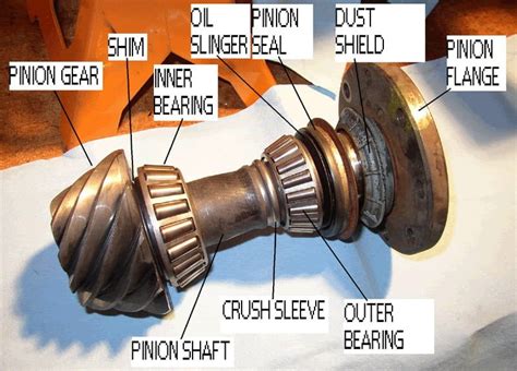  The Pinon Bearing: A Little Nut with a Big Impact 