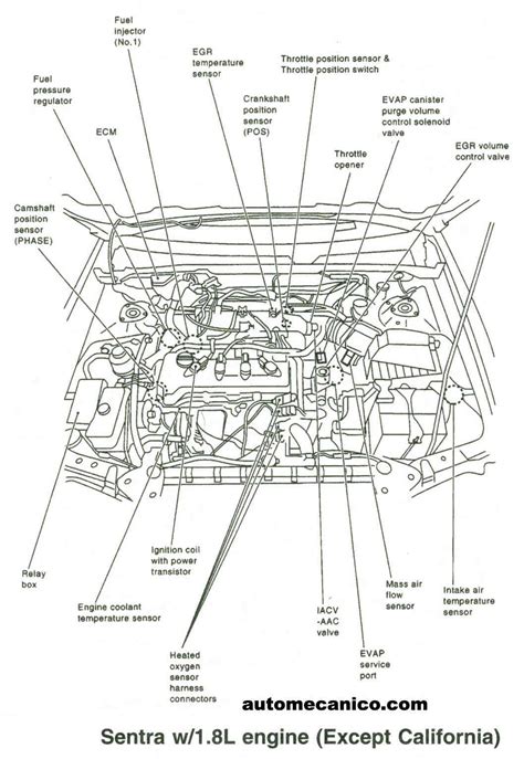 02 maxima engine diagram 