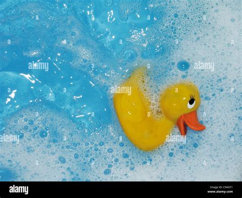 1 rubber duck in a bath, Toy rubber duck in bath with blue water stock photo