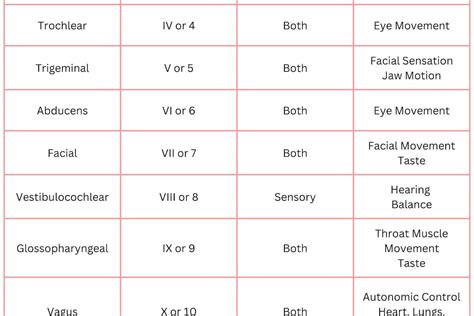 12 Cranial Nerves Chart