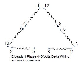 12 Lead Delta Wiring Diagram