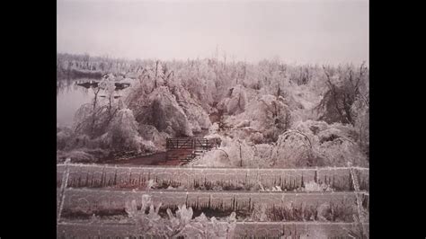 1994 ice storm memphis