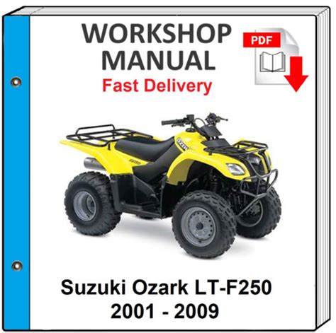 2002 2009 Suzuki Lt F250 Ltf250 Ozark Atv Service Repair Workshop Manual Download