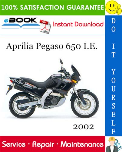 2002 Aprilia Pegaso 650 Ie Service Repair Manual