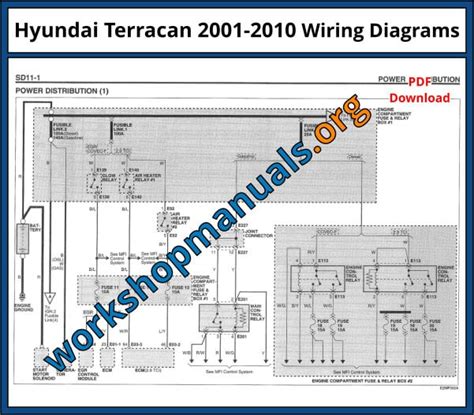 2003 Hyundai Terracan Manual and Wiring Diagram