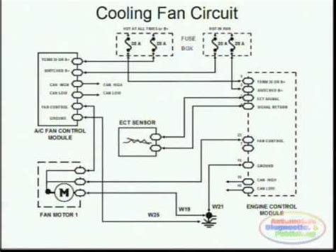 2005 kenworth cooling fan wiring diagram 