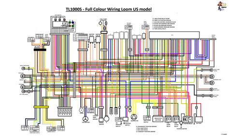 2007 yamaha v star 250 wiring diagram 
