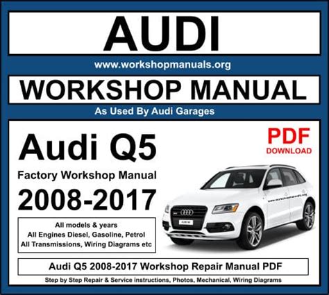 2010 Audi Q5 Service Repair Manual Software