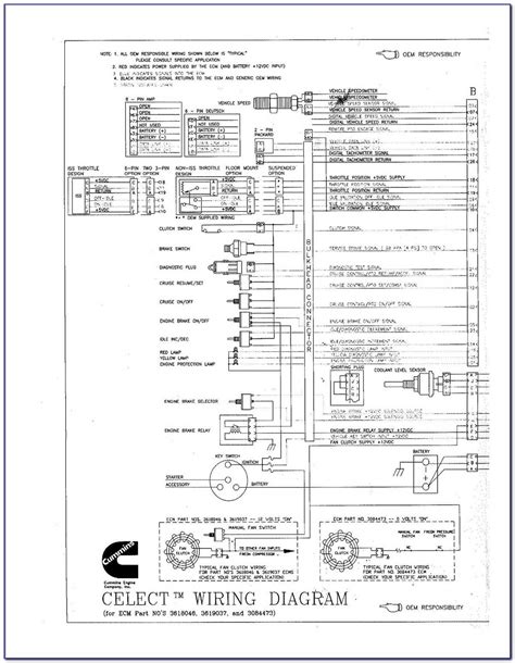 2012 Peterbilt Wiring Diagram