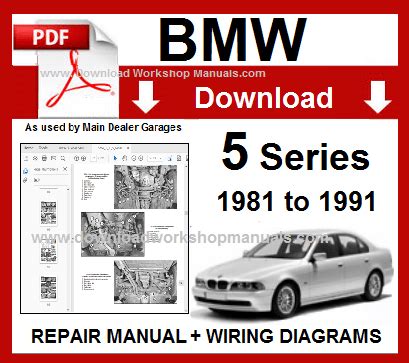 2013 BMW 5 Series Manual and Wiring Diagram