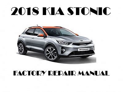 2018 Kia Stonic Instrukcja Obslugi Polish Manual and Wiring Diagram