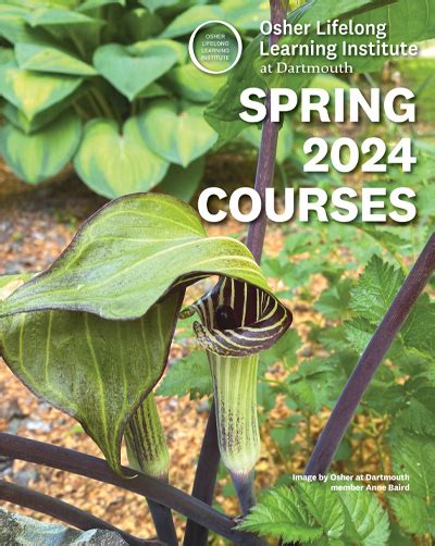 2019 Spring Term Course Catalog