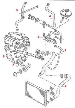 24v vr6 jetta engine diagram 