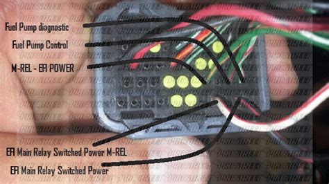 2jz Gte Vvt I Ecu Pinout Wiring Diagram