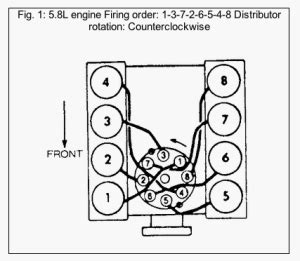 351 Cleveland Distributor Wiring Diagram