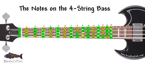 4 String Bass Guitar Fretboard Chart