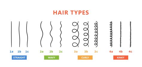4c Hair Type Chart