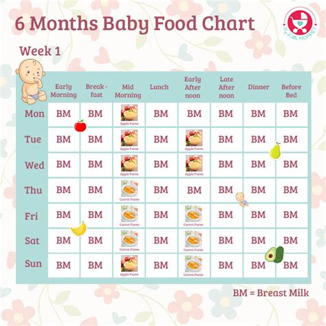 6 Month Baby Food Chart