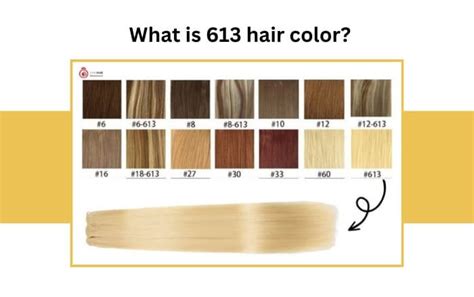 613 Hair Color Chart