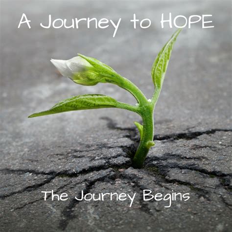 667: A Journey of Hope and Transformation