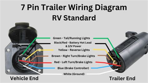 7 Pin Auto Wiring Diagram