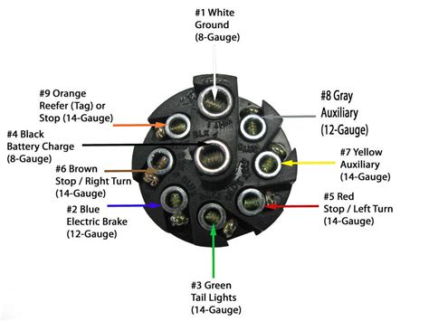 8 Pin Trailer Plug Wiring Diagram