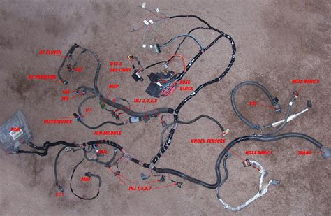 96 Lt1 Wiring Harness Location