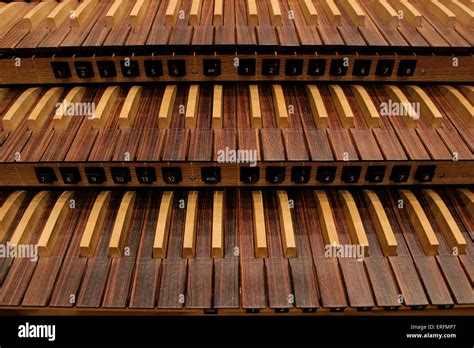 A Three Manual Organ Has How Many Keyboards