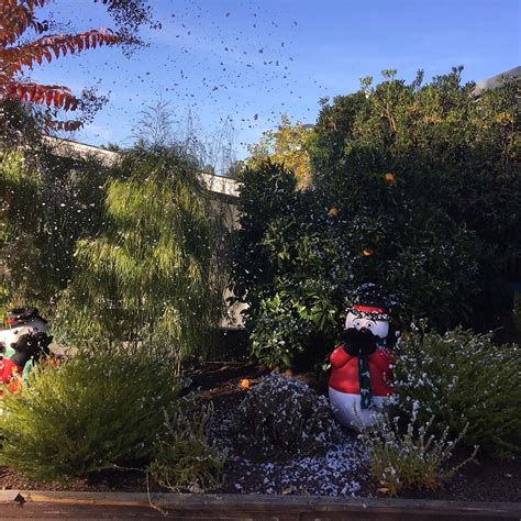 A Winter Wonderland Right at Your Fingertips: Snow Machine for Indoor Use