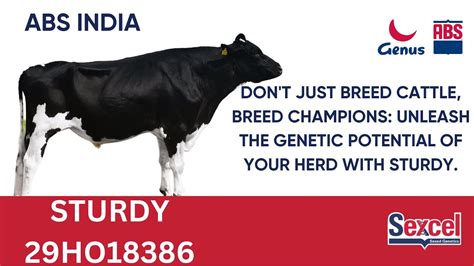 Abs Catalogue 6306.0 May 2016