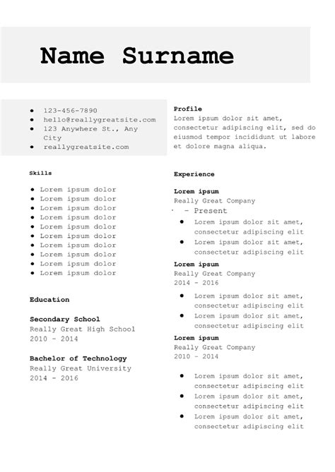 Academic Cv Template Google Docs
