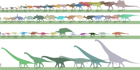 Accurate Dinosaur Size Chart